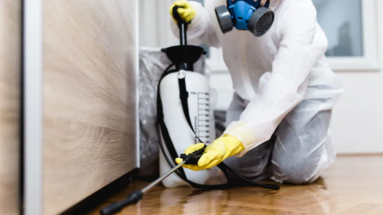 Profissional com equipamento de aplicação em ambiente interno — imagem ilustrativa do serviço